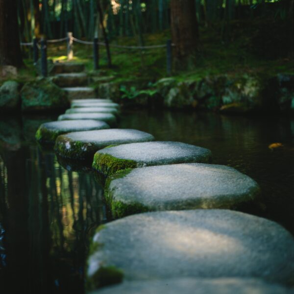 Stepping stones